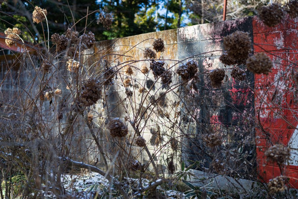 グループ展「Traveling 21 旅しないカメラ」参加